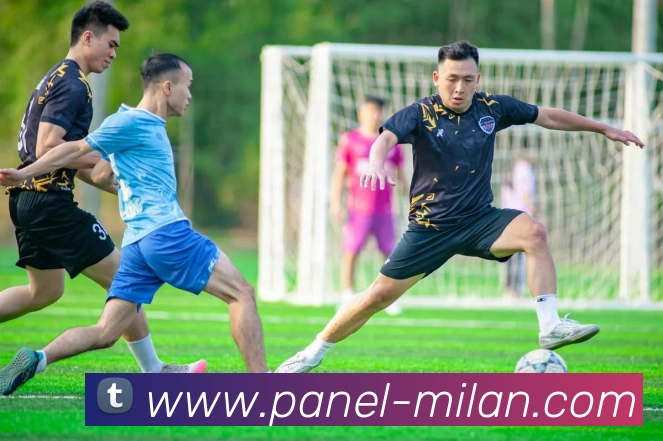 米兰体育服务体系